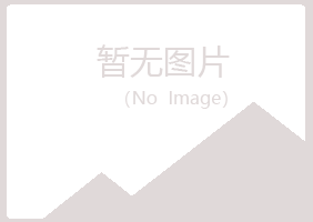 四平白山化学有限公司